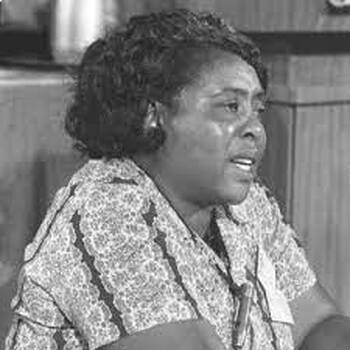 Preview of Fannie Lou Hamer Biography (13 Questions)
