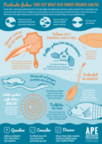 Fantastic Fishes Infographic | Facts and Fishes