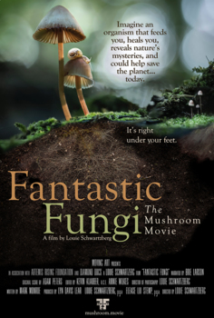 Preview of Fantastic Fungi: Movie Guide