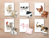 Farm Animal 3 Part Language Flashcards -- Montessori Nomen