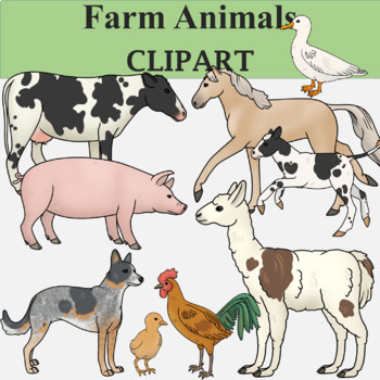 Preview of Farm Animal Clip Art (Domesticated Animals)