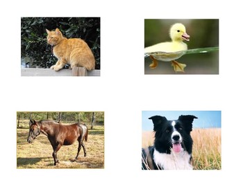 Preview of Farm Animal Flash Cards