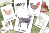 Farm Animal Flashcards in Spanish