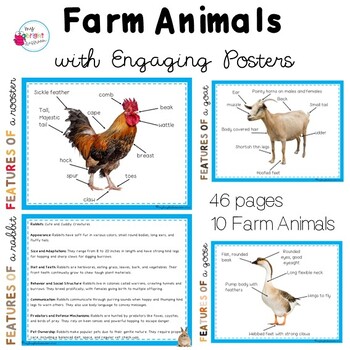 Preview of Farm Animal Information Posters