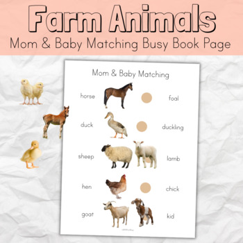 Baby Animal Names Matching Game Worksheets Teachers Pay Teachers