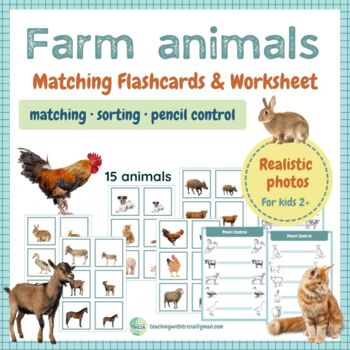 Animal Homes Match Teaching Resources | TPT