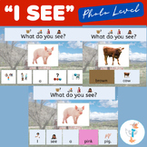 Farm Animal Phrases With Color Descriptor-Adapted Book BUN