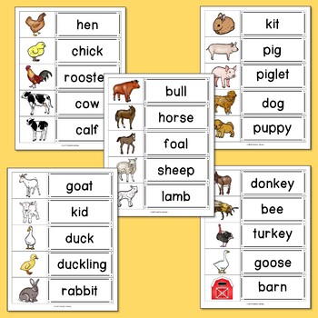 Word Wall words worksheet  Farm preschool, Word wall, Preschool