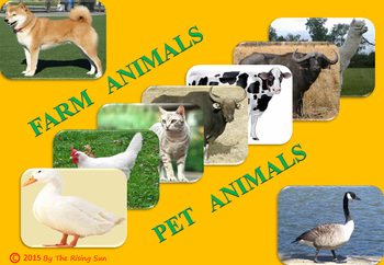 Preview of Farm Animals Pet Animals