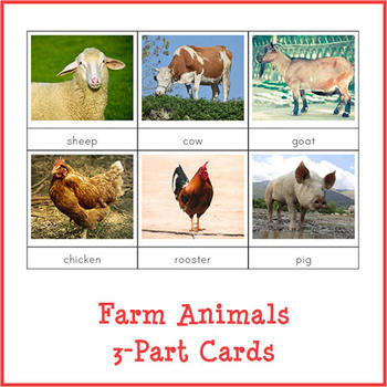 Farm Animals 3-Part Cards by Gift of Curiosity | TpT