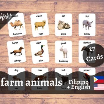 Preview of Farm Animals - FILIPINO / TAGALOG English Bilingual Flash Cards | 27 Pet Animals