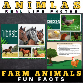 Preview of Farm Animals : Facts with Real Life Photos - Google Slides™ Included