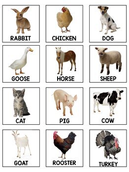 Farm Animals Flashcards for Autism by Resources Maker | TpT