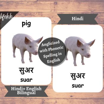 Farm Animals - HINDI English Bilingual Flash Cards | Pet Animals | 27 Cards