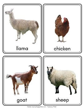 Farm Animals Matching Cards by Mama's Happy Hive | TpT