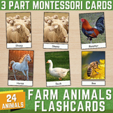 Farm Animals Montessori 3-Part Cards | Farm Animal Flashca
