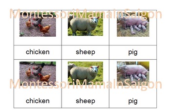 Preview of Farm Animals Montessori Three Part Vocabulary Cards