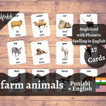 Farm Animals - PUNJABI English Bilingual Flash Cards | Pet Animals | 27  Cards