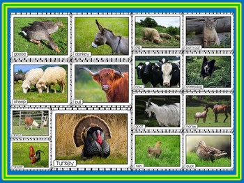 Farm Animals Posters | Real Photos with Labels | Science Display