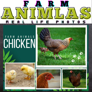 Preview of Farm Animals : Real Life Pictures - Google Slides™ Included