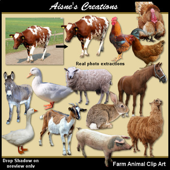 Farm Animals Real Photo Clip Art by Aisne's Creations | TPT