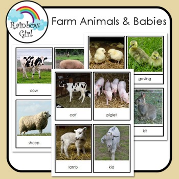 Farm Animals & Their Babies by Rainbow Girl | TPT