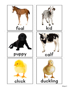 k-1 math grade worksheets and Babies Farm S Their Matching Angie Animals Activity by