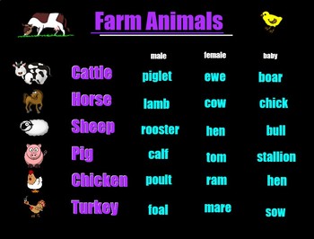 Farm Animals Vocabulary with Pictures! Male, Female, Baby by Brian Herrig