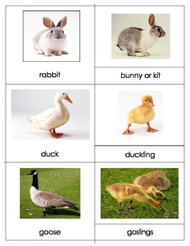 Farm Animals and Babies - Montessori Vocabulary Three Part Cards