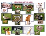 Farm Animals and  Babies - Montessori   Vocabulary Three P