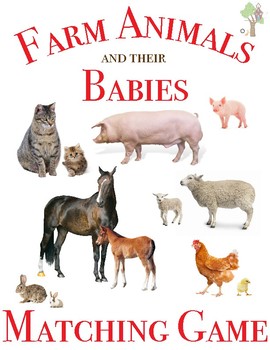 Farm Animals and their Babies Matching Game with Real Pictures | TPT