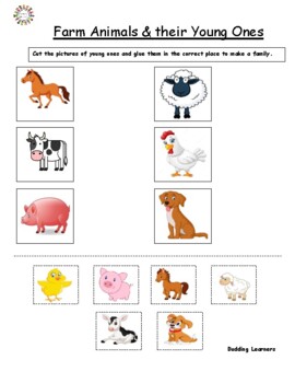 Farm Animals & their Young Ones (Pre-School & Kindergarten) | TPT