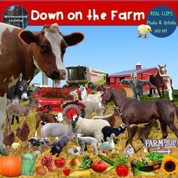 Preview of Farm Clip Art Set Farm Animals Photo & Artistic Digital Stickers HUGE set