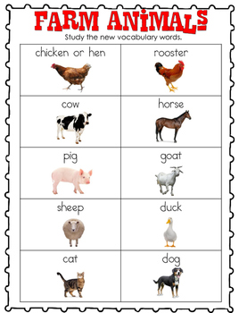 Farm Vocabulary! by The Struggling Teacher | Teachers Pay Teachers