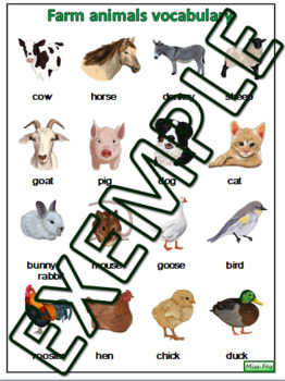 Farm animal vocabulary by Miss Fey | Teachers Pay Teachers