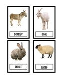 Farm animals Flashcards Colorful Picture with and without 