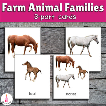Preview of Farm Animal Families Montessori 3-part Cards