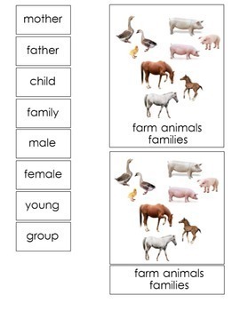 Farm Animals Zoology Series PRINTED Montessori Three Part Card - DIY 