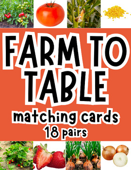 Preview of Farm-to-Table Matching Cards - Gardening Unit - Includes 36 cards & discussion