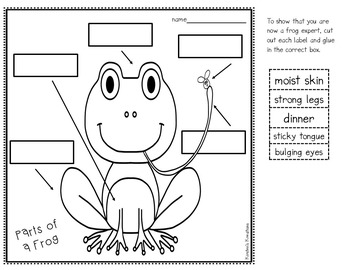 Fascinating Frogs - differentiated non-fiction student readers | TpT
