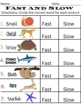 Preview of Fast vs Slow Vocab Activity