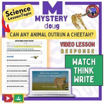 Preview of Fastest Land Animal | Can Any Animal Outrun a Cheetah? | Mystery Doug Questions