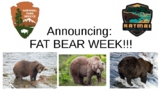 Fat Bear Week at Katmai: Claim, Evidence, Reasoning (CER) 
