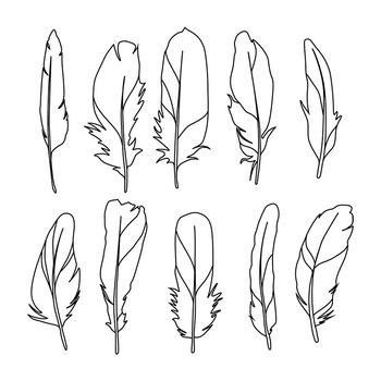Hand drawn ink vector bird feathers. Sketch silhouette illustration line  art for tattoo, Halloween, nature, witchcraft. Isolated object, outline.  Design for shops, logo, print, website, card, booklet 28226980 Vector Art  at Vecteezy