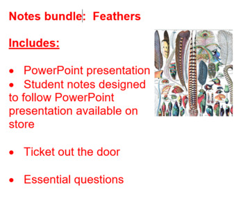 Preview of Feather Notes bundle