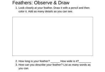 Preview of Feather Observation