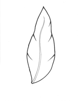 Preview of Feather or leaf template