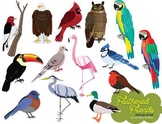 Feathered Friends Bird Clip Art Set