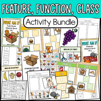 Preview of Feature, Function, Class Activity Bundle