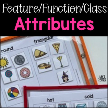 Preview of Feature Function Class | Categories and Attributes Activities